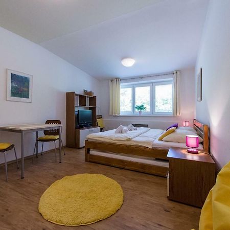 Apartman Lipno 20 Lipno nad Vltavou Exterior photo