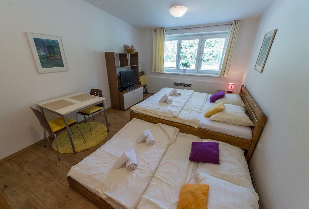 Apartman Lipno 20 Lipno nad Vltavou Exterior photo